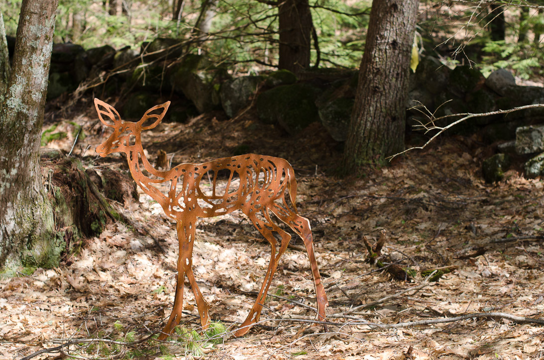 #24 SPOTTED FAWN SHADOW