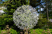 George-Sherwood-Memory-of-Fibonacci-stainless-steel-60-x-60-x-3-inches-20141