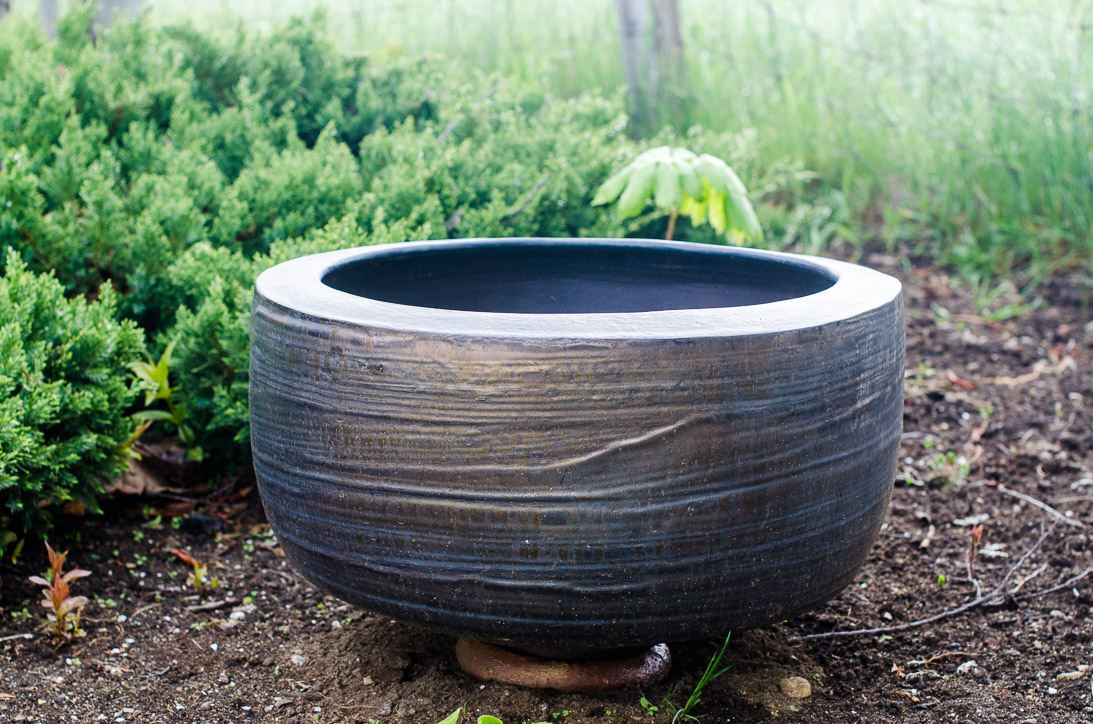 #6 WATERBOWL (close up) 