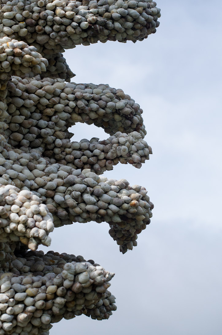 #15 NUCELLA LAPILLUS (detail) 