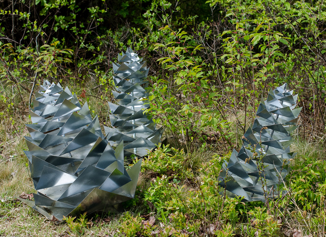 #45 PINECONES  PINECONES (detail) 