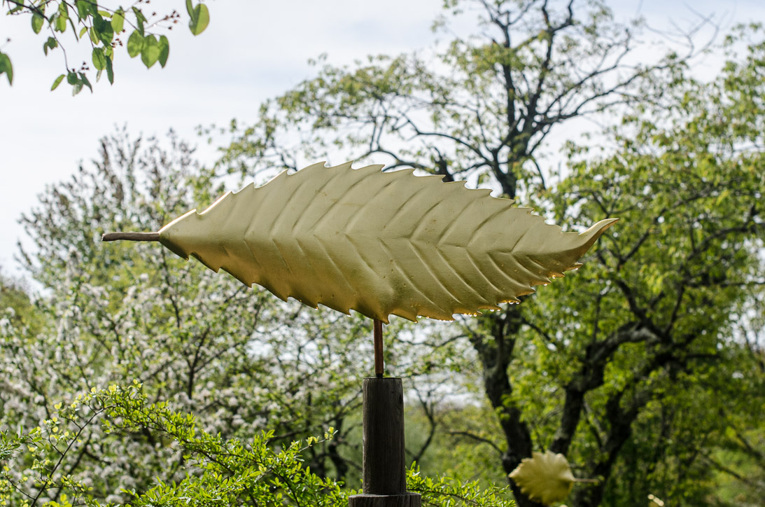 #41 CHESTNUT LEAF (detail) 