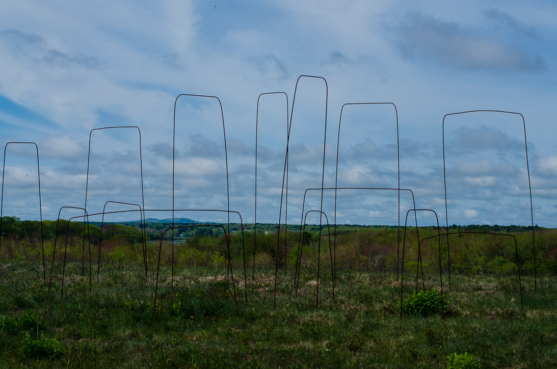 #17 FREE RANGE SCULPTURE 