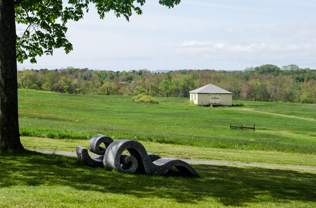 #61 FIDDLEHEAD CHAISE lll, CHAISING WAVES lll 