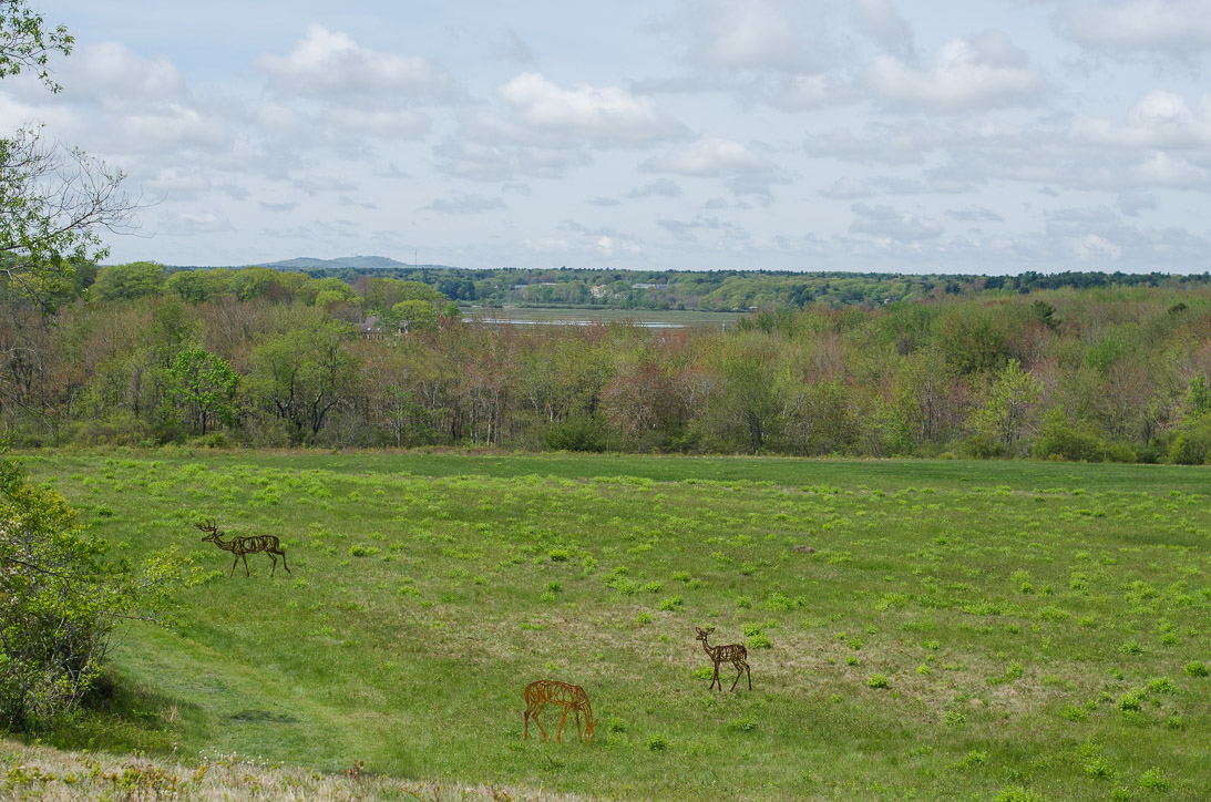 #21, #22, #23 SHADOW SERIES 