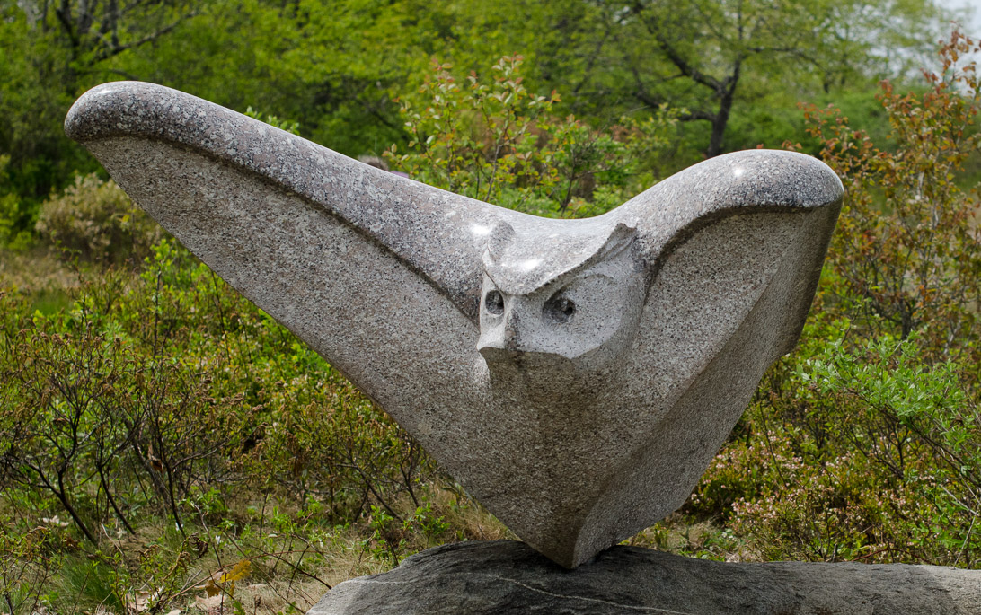 #34 OWL RISING (detail) 