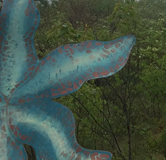 #31 TUMBLESTAR (detail)