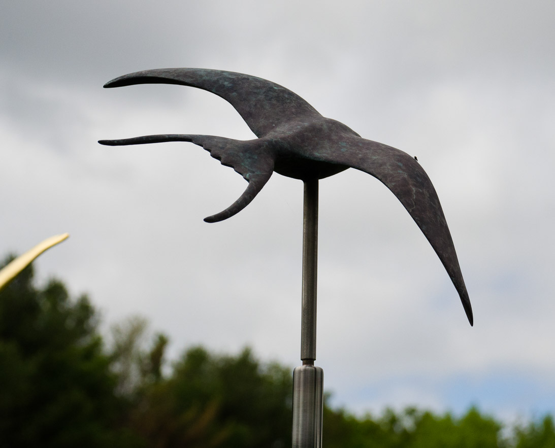 #9 BARN SWALLOW  (detail)