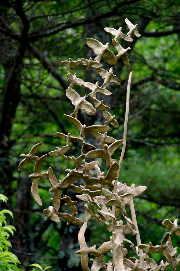 #60 MILLESIMES (detail) 