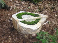 White Line Gary Haven Smith