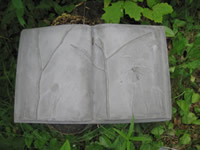 Cat Schwenk Earth Book